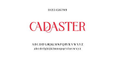 Obraz premium Elegant Serif Alphabet Typography Vector Set