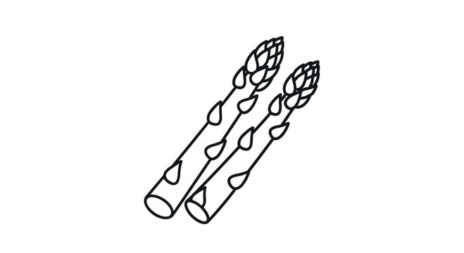 Black and white line drawing of two fresh asparagus spears isolated on a white background for culinary and health topics.
