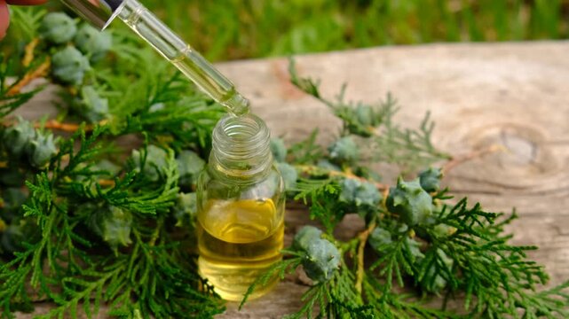 Thuja essential oil and supplements. Selective focus.