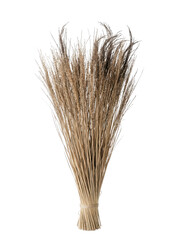 Fototapeta premium Dried wheat or oats bundle with transparent background