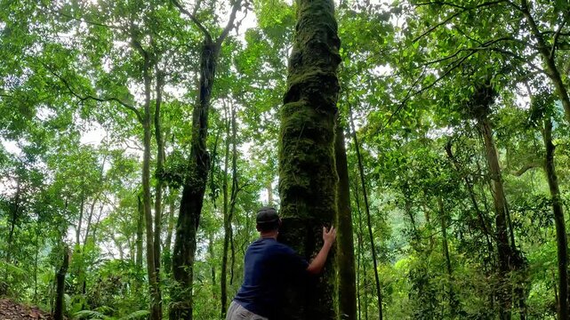 Asian man in black hat hugging a tree in the forest alone. Doing forest bathing.