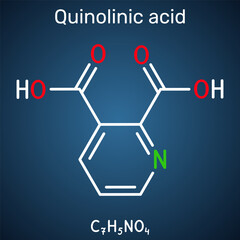 Obraz premium Quinolinic acid molecule. 2,3-pyridinedicarboxylic acid chemical structure. Neurotoxic tryptophan metabolite in the kynurenine pathway. Dark blue background