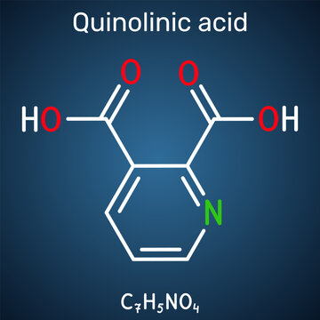 Quinolinic acid molecule. 2,3-pyridinedicarboxylic acid chemical structure. Neurotoxic tryptophan metabolite in the kynurenine pathway. Dark blue background