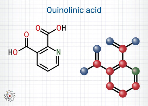 Quinolinic acid molecule. 2,3-pyridinedicarboxylic acid chemical structure. Neurotoxic tryptophan metabolite in the kynurenine pathway. Sheet of paper in a cage. Molecular model