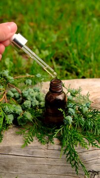 Thuja essential oil and supplements. Selective focus.