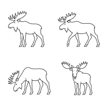 Set of moose lineart icons in black vector style featuring wildlife animal designs for illustration and branding