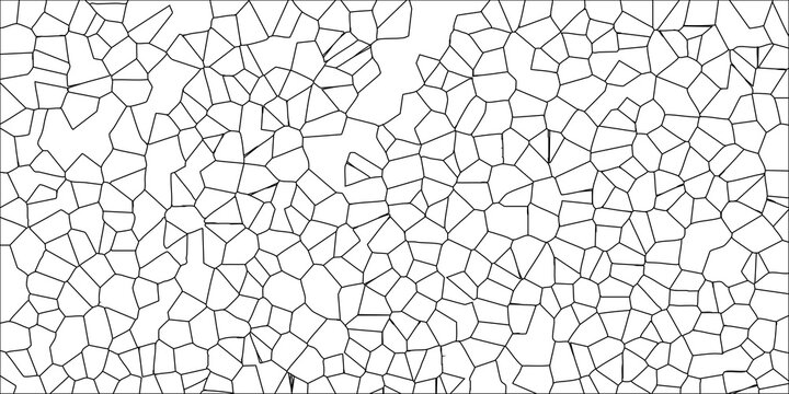 Irregular Geometric Voronoi Tessellation Black Lines on White Background Abstract Cellular Pattern Organic Network Design