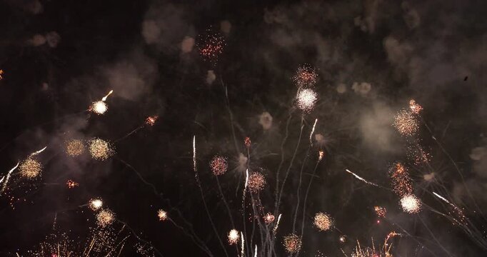 Detailed slow-motion shot featuring numerous white serpent rockets ascending with winding, erratic trajectories. footage captures intricate movement of these pyrotechnics as they culminate