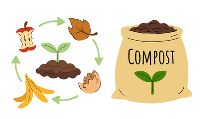Naklejka premium Composting process and compost bag set, organic waste recycling cycle and fertilizer packaging on white background. Combination of circular composting diagram with food scraps (banana peel.