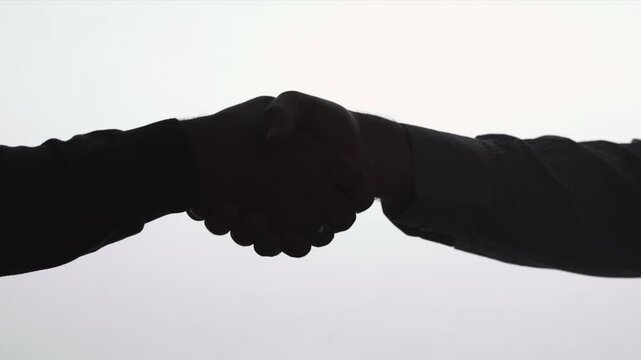 Two Figures Engage In Formal Handshake With Backlighting Highlighting Their Professional Alliance And Trust. Media