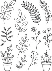 Black and white illustration of various plant branches and potted plants Vector, illustration © Parvej