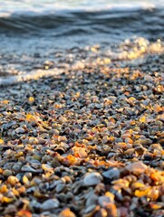 Obraz premium pebbles on the beach