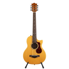 Obraz premium Acoustic bass guitar on a stand isolated on transparent background