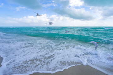 Obraz premium Turquoise sea water wave motion. Summer beach. Calm sea. Beauty sky and waves on beach. Beautiful foamy shoreline. Sea background. Blue ocean. Sandy ocean beach. Sea waves.