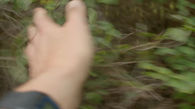 Reaching hand pushing through thick bramble and vines, scout forging forward, blurred motion and urgent pace, watch visible on wrist, foliage parts under pressure.