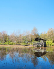 Obraz premium Fishtrap Creek Park during a spring season in Abbotsford, British Columbia, Canada