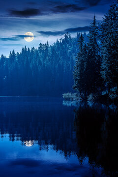 quiet lake at night. full moon over coniferous forest reflecting on the calm body of water. mysterious place in national park. summer nature background image for fantasy or horror concept