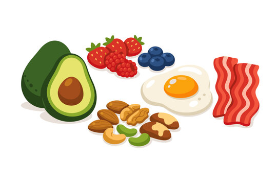 Ketogenic Diet Food Set Vector Illustration Featuring Healthy Low Carb Ingredients Like Avocado, Mixed Berries, Assorted Nuts, Fried Egg, and Crispy Bacon Strips for a Nutritious Keto Breakfast