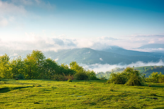 carpathian mountain landscape on a foggy morning. outdoor adventure image for stunning view of meadow in morning light. mountain field and rolling countryside valley