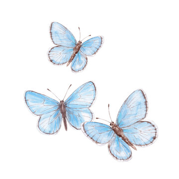 Three Blue Butterflies Flying Watercolor Illustration, Spring Card