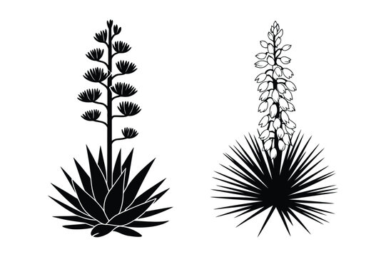Flowering agave and yucca desert plant silhouettes vector illustration