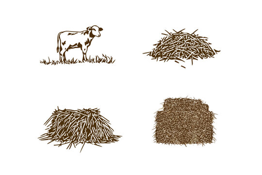 A drawing of a cow and three hay bales on a white background, in brown tones