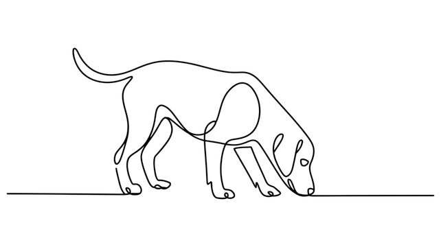 Line art of a dog sniffing the ground a labrador retriever sniffing smelling searching tracking creature