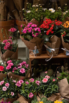 flower shop outdoor in Europe, colorful blossoms, wrapped in brown paper
