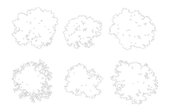 Architectural tree plan symbols, set of 6 minimalist landscape design vector icons, top view foliage outlines for site mapping and garden layouts