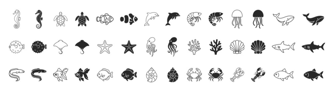 Marine ocean icon set, underwater animals and coral reef symbols collection on transparent background
