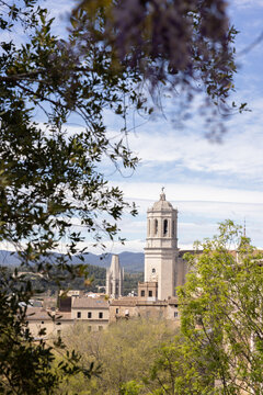 view of Girona church framed by trees in foreground, Spain