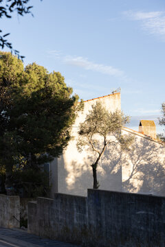 late afternoon shadows, trees, old architecture, Cadaques spain costa brava