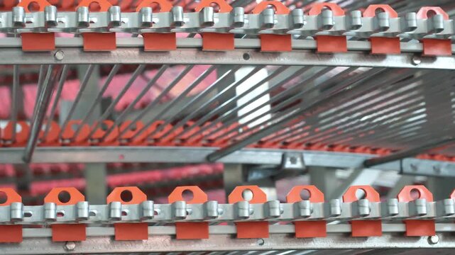 Metal tape bakery belt of automatic conveyor, Tape belt of automatic conveyor. product packaging concept