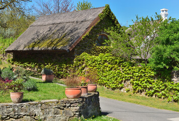 Traditional thatched roof house covered in green climbing plants in Salföld, Hungary. © E.R.Dora