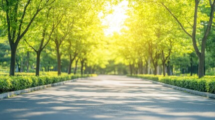 Obraz premium A sun-drenched pathway lined with vibrant green trees, creating a peaceful and inviting natural avenue for walking and enjoyment.