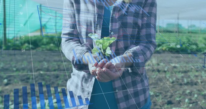 Grower holding seedling up on farm causing blue charts and ring centering plant showing growth data