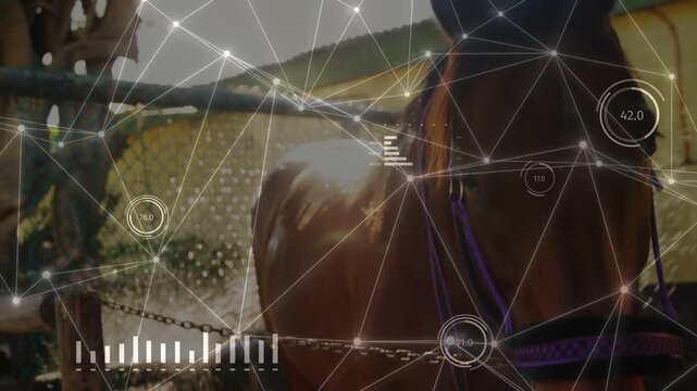 Animated net appearing over brown horse, camera shifting, HUD animating, showing purple bridle data