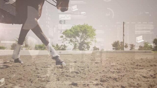 Male rider cueing horse trotting across sandy arena, equestrian HUD tracking gait for designers