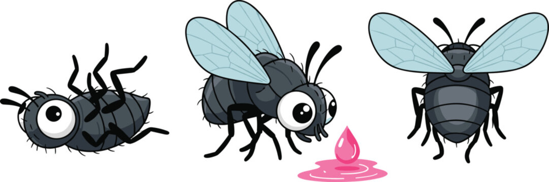 Cute Cartoon Housefly Character Set with Funny Flying and Feeding Poses for Kids, Insect, and Nature Education Design Projects