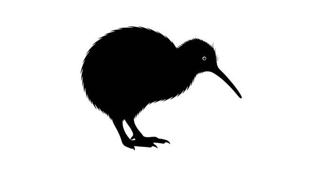 Kiwi bird silhouette on a white background