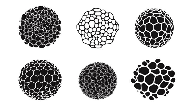 Six abstract black and white circular shapes with cell and honeycomb-like textures