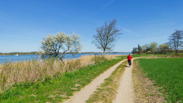 Schlei