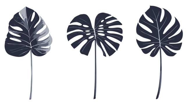 Three stylized, dark-colored monstera leaves on stems against a white background, minimal design