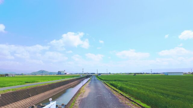 青空と白い雲の下に広がる鮮やかな緑の田園風景