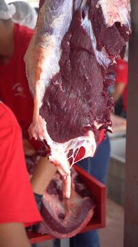 Butcher cutting and preparing hanging beef carcass in slaughterhouse, skilled meat processing for portioning and distribution, traditional preparation for Eid al-Adha, professional industrial footage