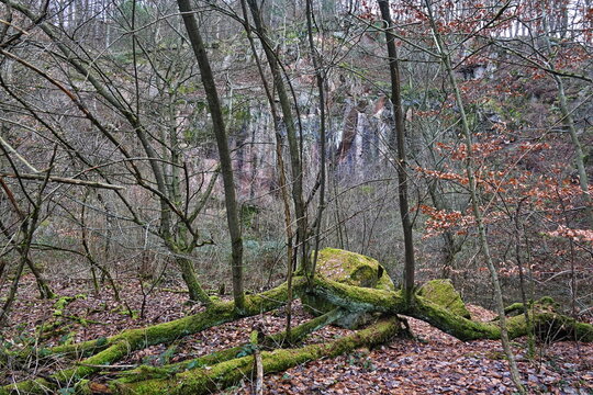 Steinbruch Borstein an der Tromm im Odenwald