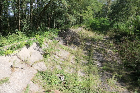 Alte Rennstrecke bei R&uuml;sselsheim
