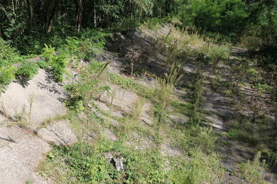 Alte Rennstrecke bei R&uuml;sselsheim