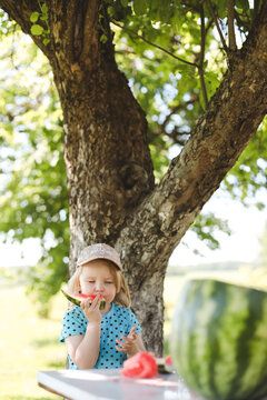 cute little girl eating watermelon outdoors in summertime. Child and watermelon in summer. 