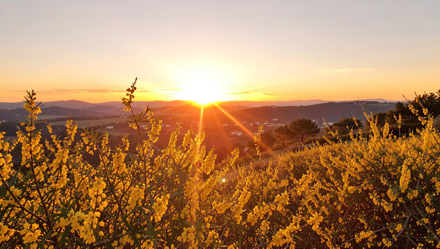 Vibrant sunset illuminates the pastures of rural landscape during dusk.